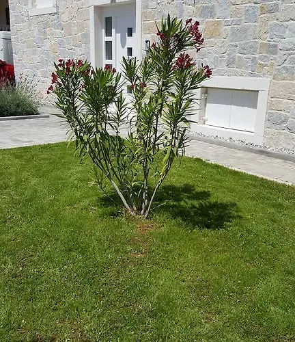 Apartament Rustic *